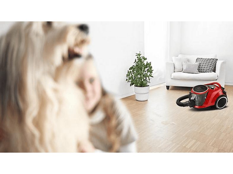 1:aspirador-con-bolsa-bosch-aklbb1112481934-750-w-deposito-24-l-negro-1.jpg|2:aspirador-con-bolsa-bosch-aklbb1112481934-750-w-deposito-24-l-negro-2.jpg|3:aspirador-con-bolsa-bosch-aklbb1112481934-750-w-deposito-24-l-negro-3.jpg|4:aspirador-con-bolsa-bosch