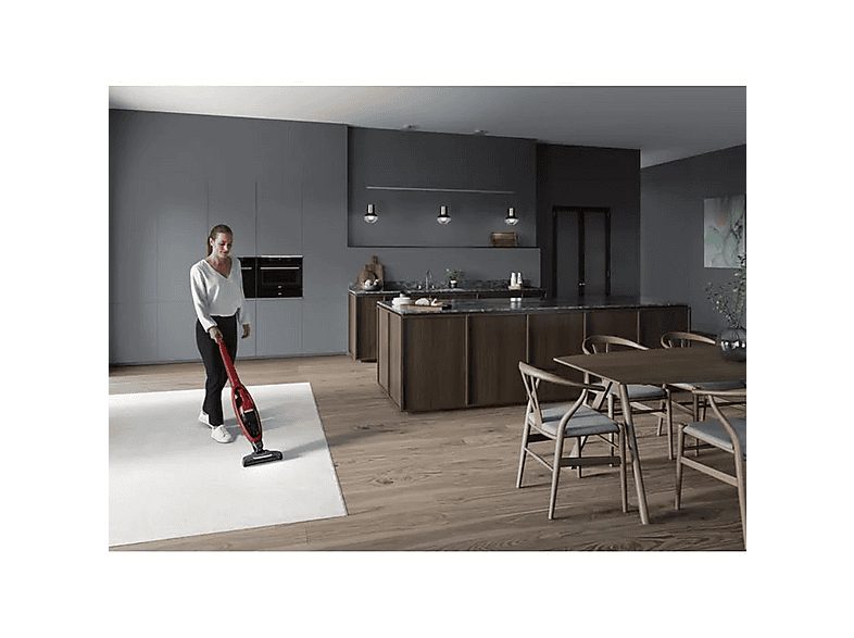 1:aspirador-escoba-aeg-900-277-539-18-v-potencia-de-succion-0-w-deposito-03-l-autonomia-45-min-rojo-1.jpg|2:aspirador-escoba-aeg-900-277-539-18-v-potencia-de-succion-0-w-deposito-03-l-autonomia-45-min-rojo-2.jpg|3:aspirador-escoba-aeg-900-277-539-18-v-pot