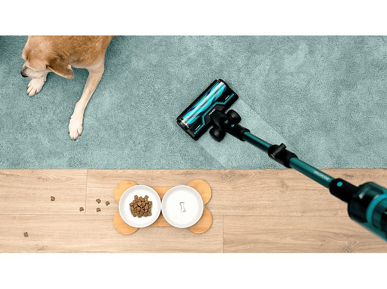 1:aspirador-escoba-cecotec-rx50-pet-flex-300-aw-780-w-90-min-cepillo-hairless-tubo-flexible-kit-completo-negroazul-1.jpg|2:aspirador-escoba-cecotec-rx50-pet-flex-300-aw-780-w-90-min-cepillo-hairless-tubo-flexible-kit-completo-negroazul-2.jpg|3:aspirador-e