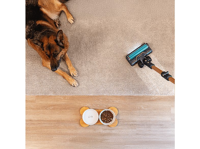 1:aspirador-escoba-cecotec-rx70-aquapet-flex-780-w-100-min-autonomia-cepillo-hairless-xl-sin-bolsa-negrodorado-1.jpg|2:aspirador-escoba-cecotec-rx70-aquapet-flex-780-w-100-min-autonomia-cepillo-hairless-xl-sin-bolsa-negrodorado-2.jpg|3:aspirador-escoba-ce