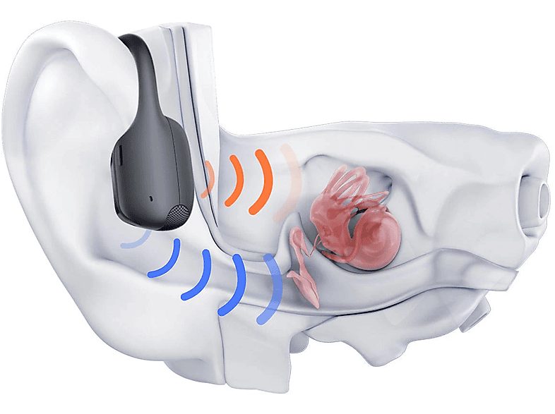 1:auriculares-conduccion-osea-shokz-openrun-pro-2-standard-banda-para-el-cuello-bluetooth-12h-autonomia-dualpitch-ip55-negro-1.jpg|2:auriculares-conduccion-osea-shokz-openrun-pro-2-standard-banda-para-el-cuello-bluetooth-12h-autonomia-dualpitch-ip55-negro