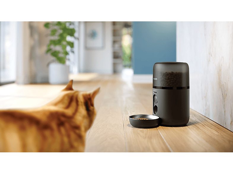 1:comedero-automatico-inteligente-philips-paw532002-deteccion-movimiento-programacion-comidas-notificacion-reposicion-camaraaudio-hd-aplicacion-1.jpg|2:comedero-automatico-inteligente-philips-paw532002-deteccion-movimiento-programacion-comidas-notificacio