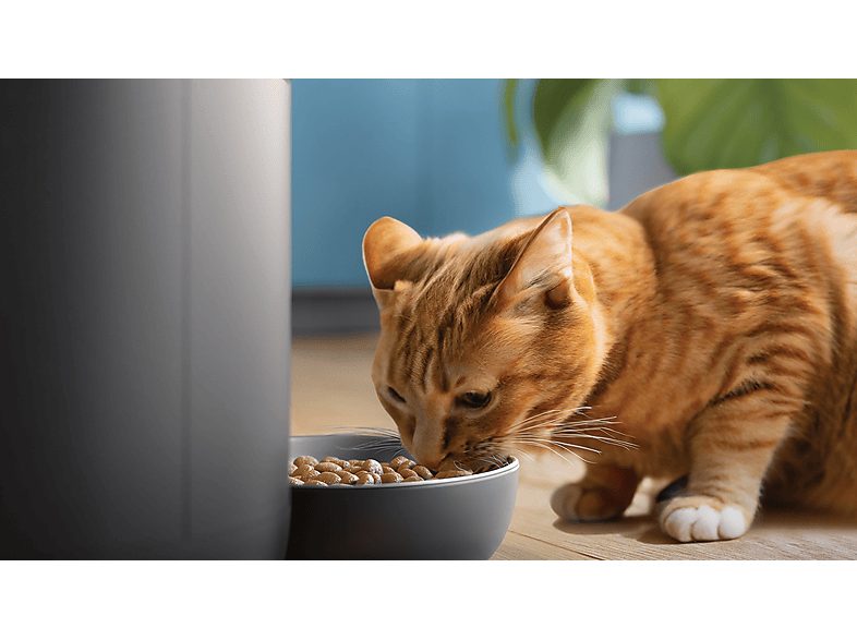 1:comedero-automatico-inteligente-philips-paw532002-deteccion-movimiento-programacion-comidas-notificacion-reposicion-camaraaudio-hd-aplicacion-1.jpg|2:comedero-automatico-inteligente-philips-paw532002-deteccion-movimiento-programacion-comidas-notificacio