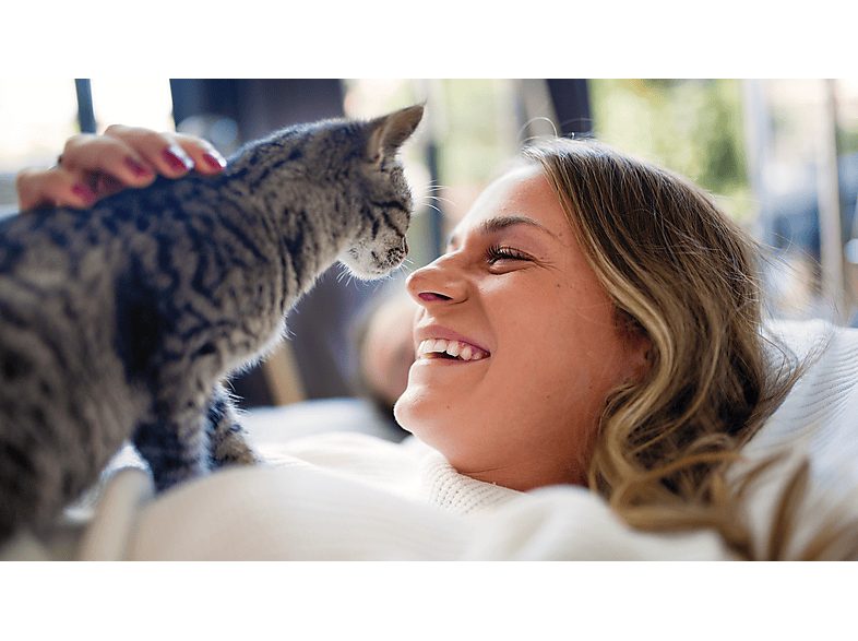 1:comedero-automatico-inteligente-philips-paw532002-deteccion-movimiento-programacion-comidas-notificacion-reposicion-camaraaudio-hd-aplicacion-1.jpg|2:comedero-automatico-inteligente-philips-paw532002-deteccion-movimiento-programacion-comidas-notificacio