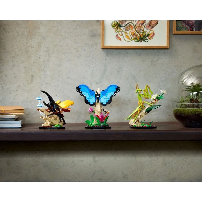 1:lego-21342-coleccion-de-insectos-1.jpg|2:lego-21342-coleccion-de-insectos-2.jpg|3:lego-21342-coleccion-de-insectos-3.jpg|4:lego-21342-coleccion-de-insectos-4.jpg|5:lego-21342-coleccion-de-insectos-5.jpg|6:lego-21342-coleccion-de-insectos-6.jpg|7:lego-21