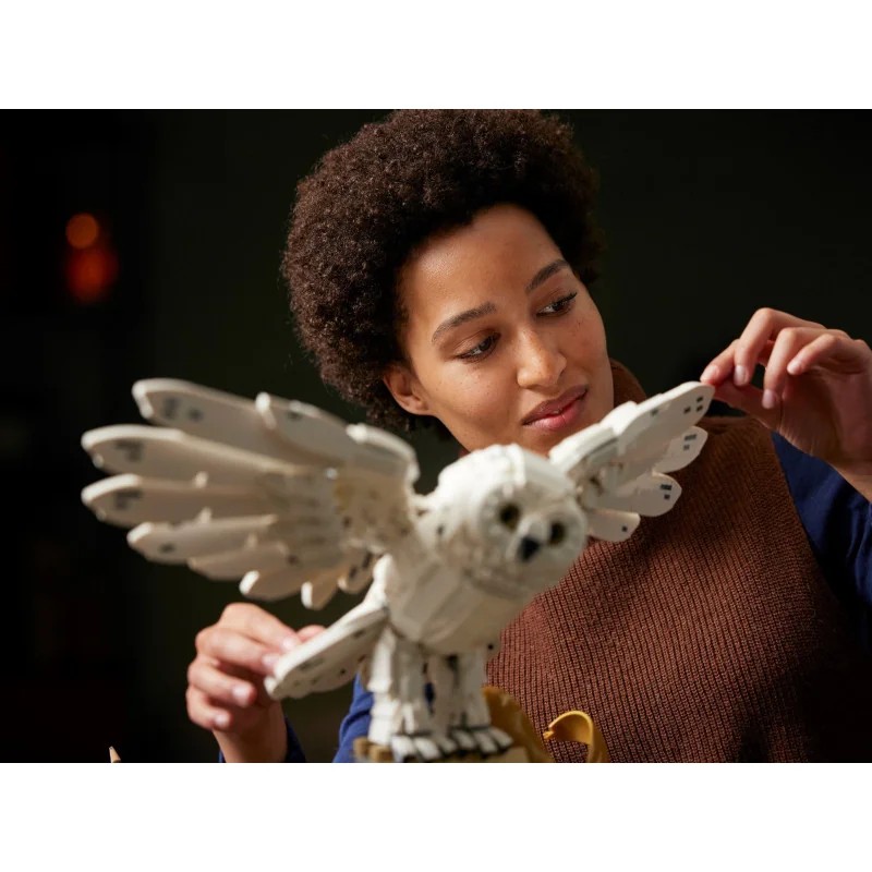 1:lego-76391-iconos-de-hogwarts-edicion-para-coleccionistas-1.jpg|2:lego-76391-iconos-de-hogwarts-edicion-para-coleccionistas-2.jpg|3:lego-76391-iconos-de-hogwarts-edicion-para-coleccionistas-3.jpg|4:lego-76391-iconos-de-hogwarts-edicion-para-coleccionist